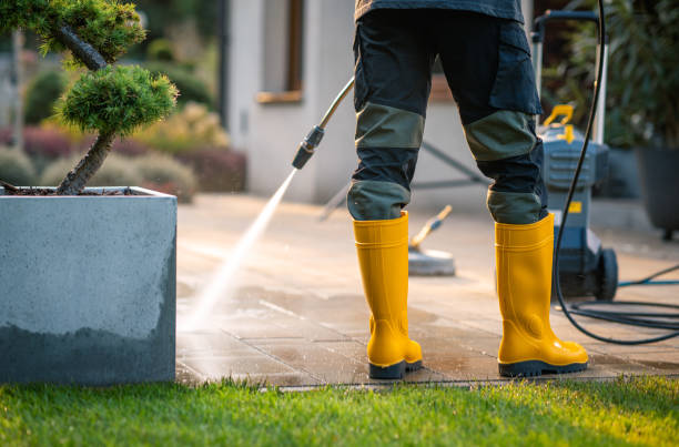 Best Pressure Washing Patio  in Clever, MO